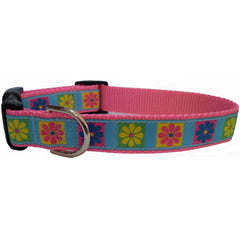 Colorful Daisies Dog Collar