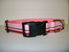 Miss Preppy Dog Collars