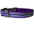 Purple Stripes Dog Collars