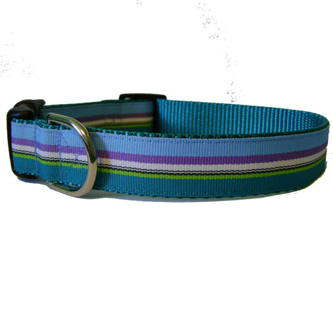 Turquoise Stripes Dog Collars