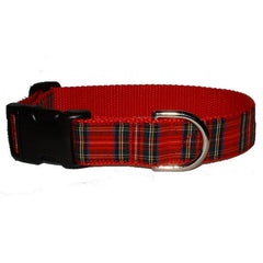 Royal Stewart Tartan Dog Collars